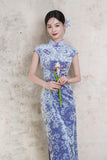 Modern Chinese Qipao, Chinese Cheongsam Dress, Evening Dresses, Ball Gowns, purple velvet qipao