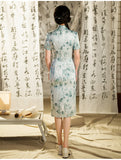 Free alteration, Traditional Chinese Qipao dress,  Evening Dress, mandarin collar