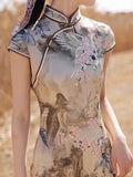 Traditional Chinese dress, mulberry silk Cheongsam, Silk qipao, spring dress, mandarin collar
